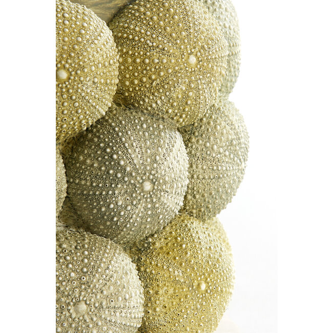 Light en Living Vaas deco Ø25X40 cm ZEEËGEL groen