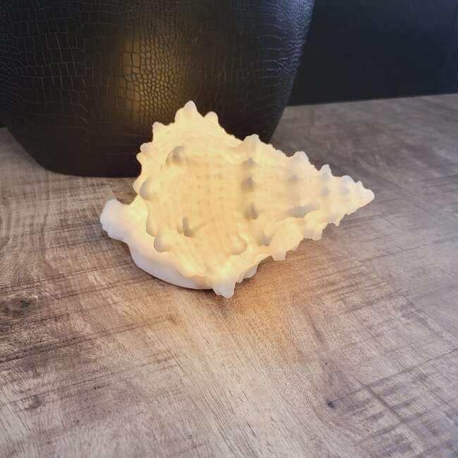 PTMD Tafellamp Graeme Wit Schelp S