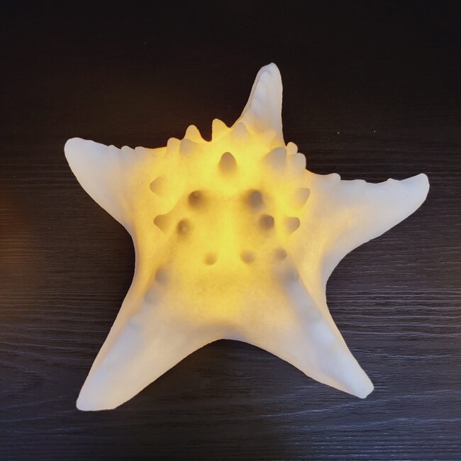 PTMD Tafellamp Graeme Wit Zeester sea star shaped LED lamp S