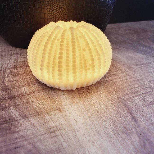 PTMD Tafellamp Graeme Wit Zeeëgel