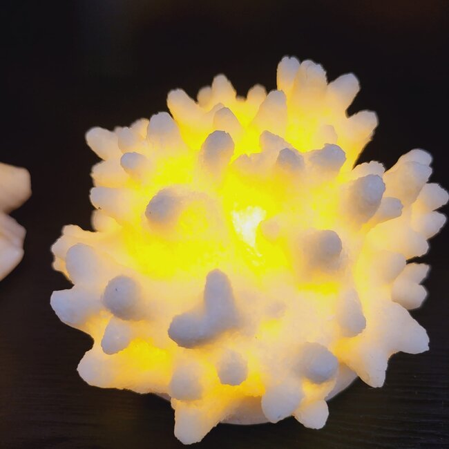 PTMD Tafellamp Led Graeme Wit rond Koraal klein