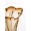 Light & Living Vaas Ø26X32 cm KAZUNO Glas helder bruin+grijs+creme