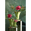 Light & Living Vaas Ø26X32 cm KAZUNO Glas groen+roze