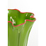 Light & Living Vaas Ø26X32 cm KAZUNO Glas groen+roze