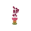 Present Time Vaas Funky Vibes glas breed multi colour