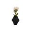 Present Time Vaas Twisted Rib zwart