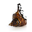 Light & Living Ornament 22x10x12 cm SHELL glas  bruin-brons+wit