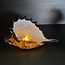 Light en Living Ornament 28x12x16 cm SHELL glas  bruin-brons+wit