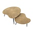 WoonStijl Salontafel set van 2 niervormig ray metal