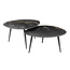 WoonStijl Salontafel set van 2 organisch fossil