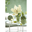 Light en Living Ornament op voet 25x10x35 cm GOUYA  groen agaat+crème
