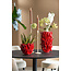 Light en Living Vaas deco 25,5x24,5x20,5 cm PEPPER  keramiek rood
