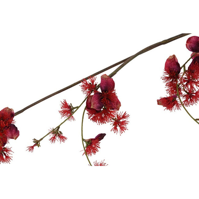 Countryfield Kunstbloem Akebia L lila