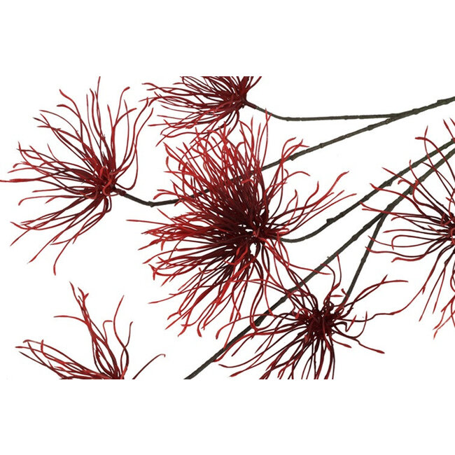 Countryfield Kunstbloem Grevillea M Rood Paars