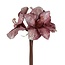 Countryfield Kunstbloem Amaryllis roze