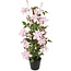 Countryfield Kunstplant Clematis XL roze 94 cm hoog