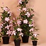 Countryfield Kunstplant Clematis XL roze 94 cm hoog