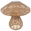 Countryfield Solar paddenstoel Miluska M bruin-L22B22H23CM