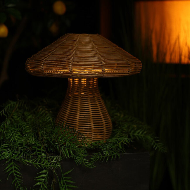 Countryfield Solar paddenstoel Miluska M bruin-L22B22H23CM