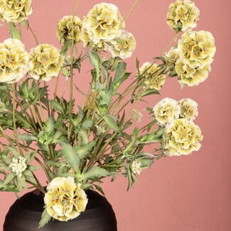 PTMD Kunsttak Groen Scabiosa