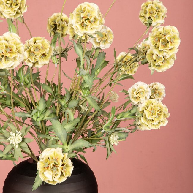 PTMD Kunsttak Groen Scabiosa