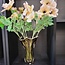 Light & Living Vaas Ø26X32 cm KAZUNO Glas helder bruin+grijs+creme