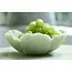 Light & Living Schaal 25,5x24x9,5 cm FRESIA groen