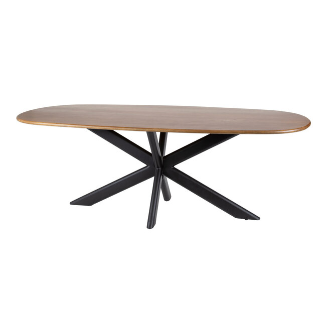 WoonStijl Eetkamertafel 215 Cliff ovale buis mango