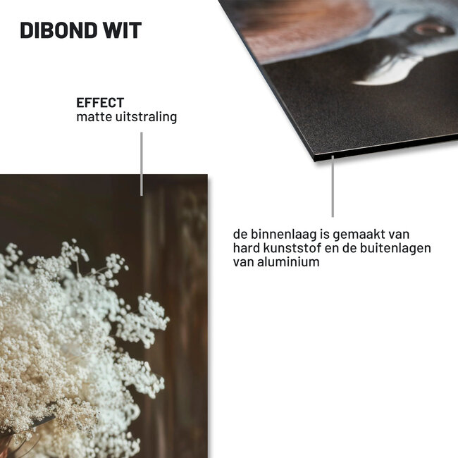 Wandkraft Ethereal Flow