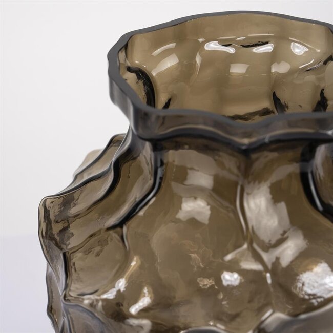 ISAA Vaas Rioja - Bruin