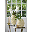Light en Living Vaas deco Ø28x29 cm AGELLO crème
