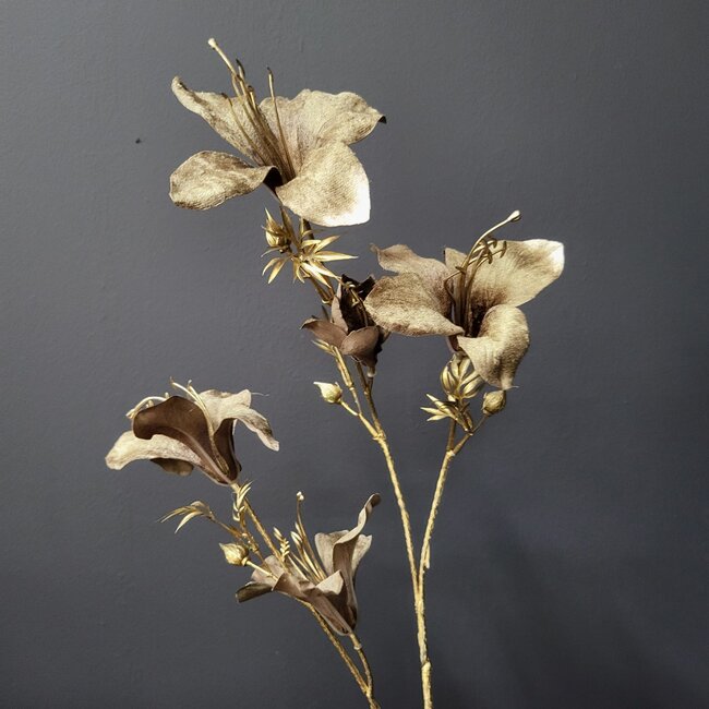 Countryfield Kunsttak Bauhinia bruin