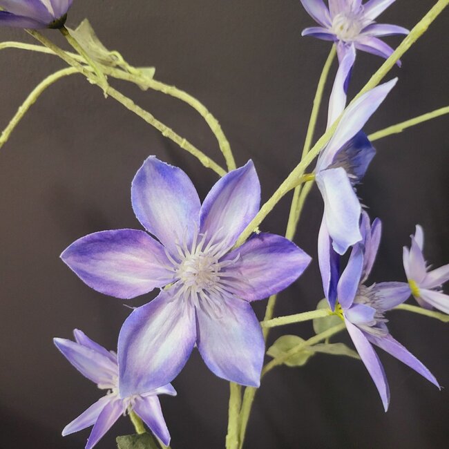 Pure Kunsttak Clematis groot 125 blauw
