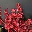 Present Time Kunsttak Flower Stem rood