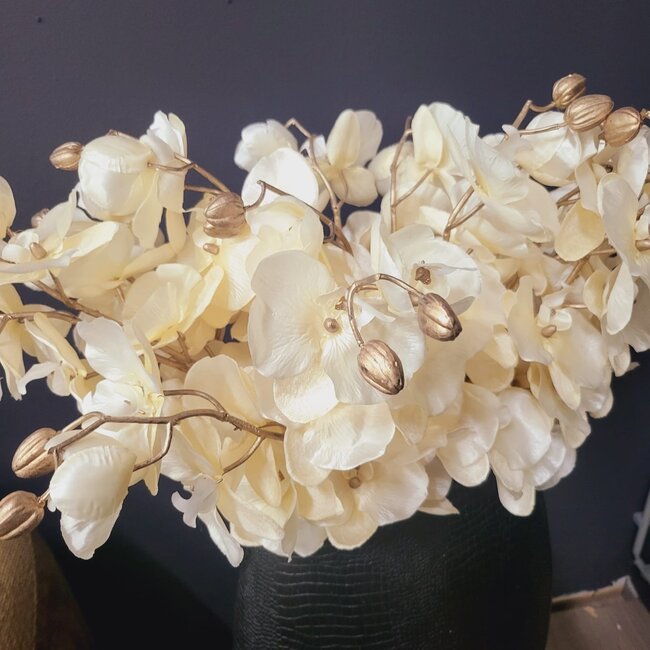 Countryfield Kunsttak Phalaenopsis crème