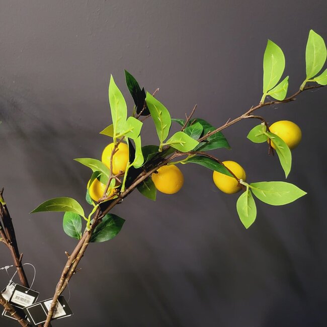 Countryfield Kunsttak Citrus lemon geel