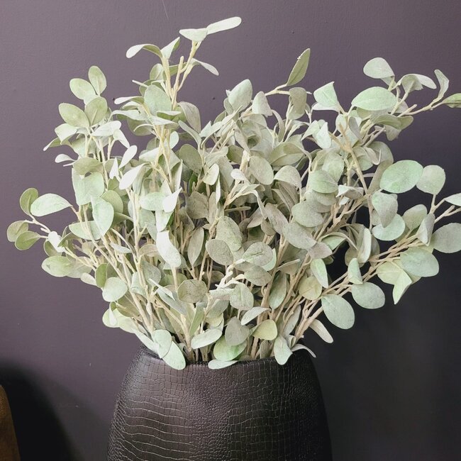 Countryfield Tak Eucalyptus groen 3