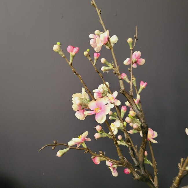 Countryfield Kunsttak Bloesem Quince S roze