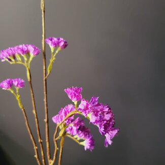 Pure Kunsttak Limonium 70 cm lavendel