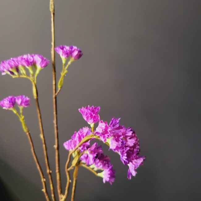 Pure Kunsttak Limonium 70 cm lavendel
