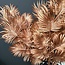 Parlane Ornament 10x2x73 cm PALM metallic  blush