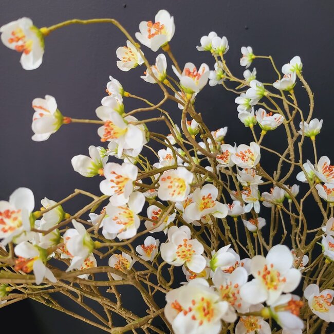 Countryfield Kunsttak Prunus Mume S wit