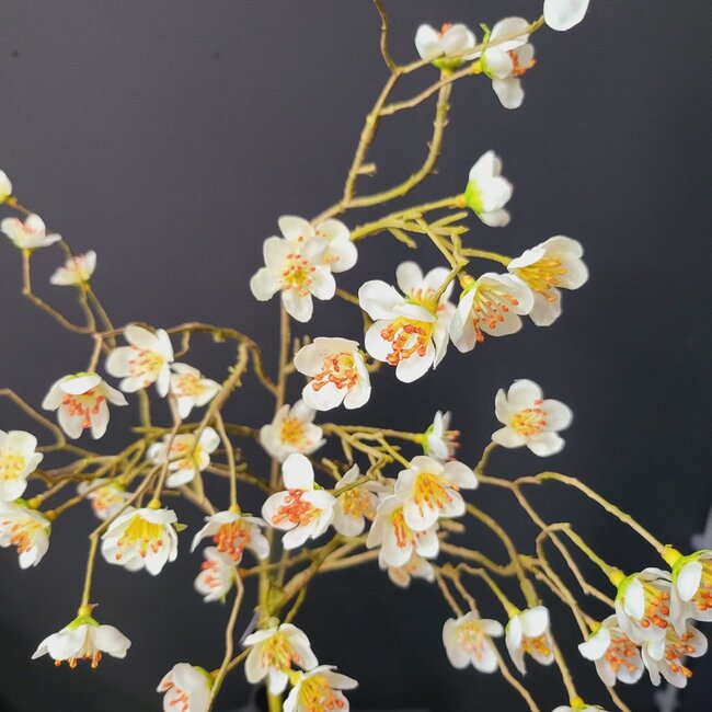Countryfield Kunsttak Prunus Mume S wit