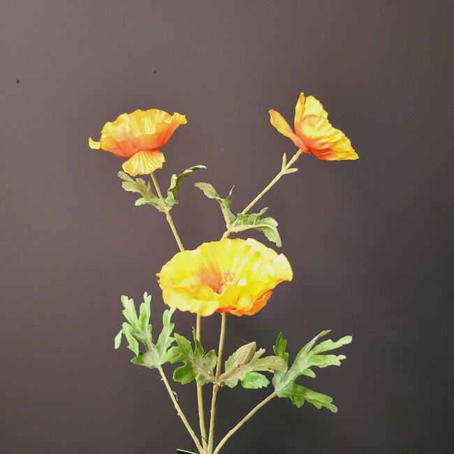 Pure Kunsttak Papaver X3 72 cm geel oranje