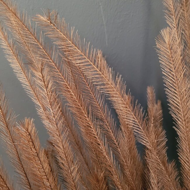 Countryfield Pluim tak donkerbruin