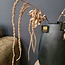 PTMD Kunsttak Twig Plant copper glitter amaranthus spray