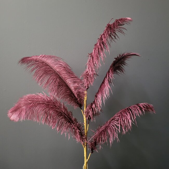 Light en Living Ornament 5 veren 129 cm FEATHER donker rood-paars