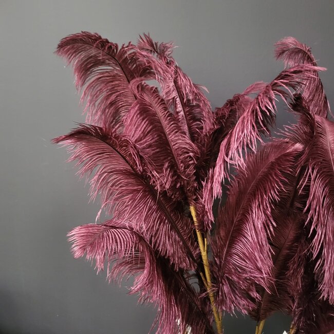Light en Living Ornament 5 veren 129 cm FEATHER donker rood-paars