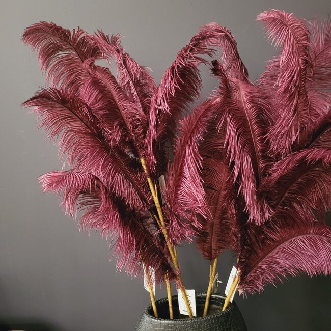 Light en Living Ornament 5 veren 129 cm FEATHER donker rood-paars