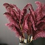 Light en Living Ornament 5 veren 129 cm FEATHER donker rood-paars